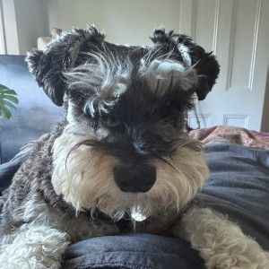 Profile pic