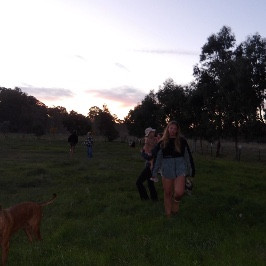 The Next Stepannators