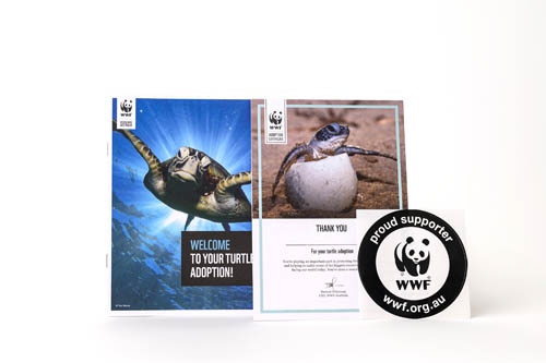 WWF-Australia turtle adoption pack no toy - adoption certificate and sticker against white background.