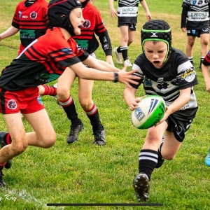 Harry Cernovskis