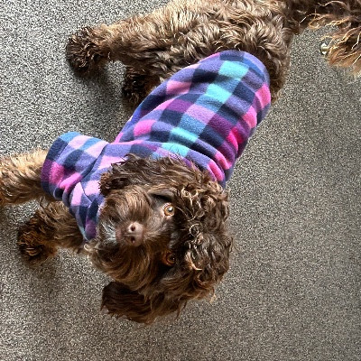 Chronic Pain/Illness