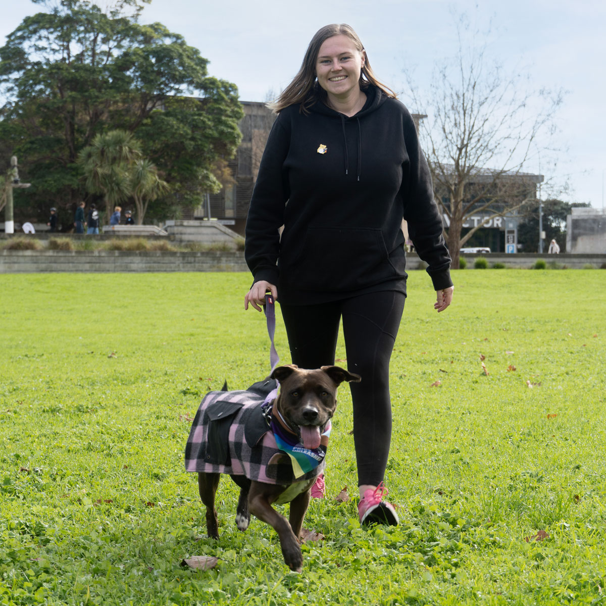 Photo of someone walking their dog