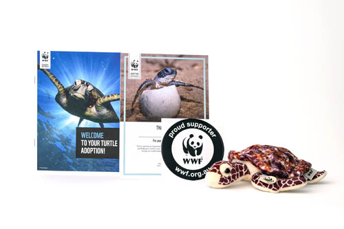 WWF-Australia turtle adoption pack with soft toy and adoption certificate against a white background
