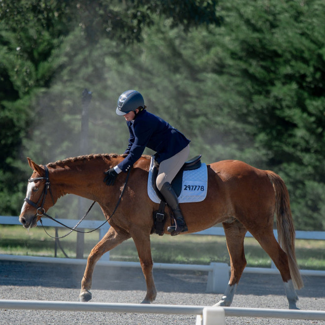 Tegan Steeves-Wright