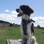 Lucy McDonald