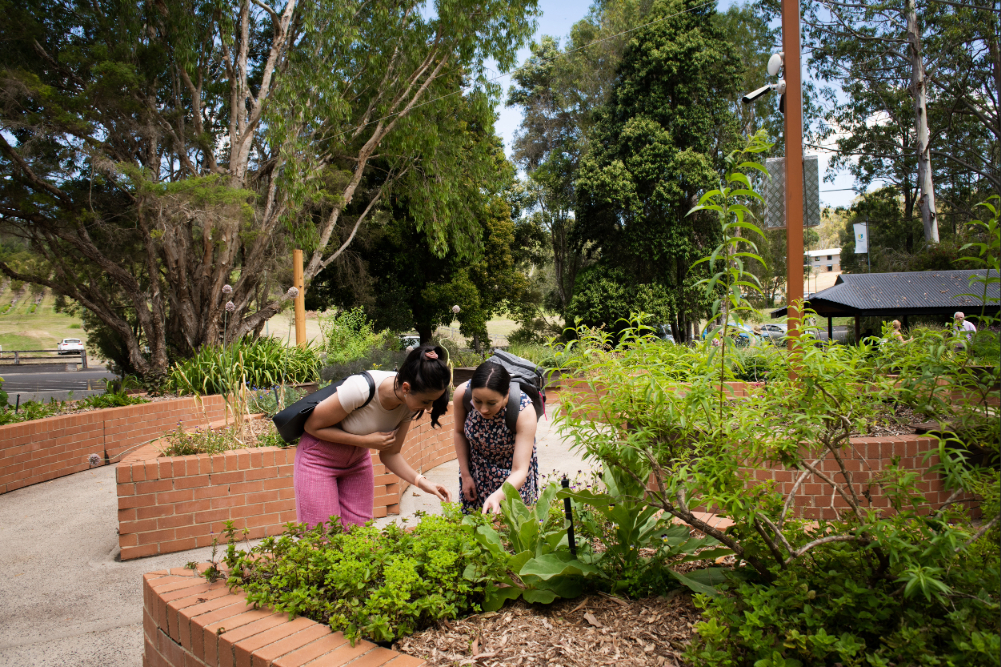 Medicinal garden teaching research NCNM