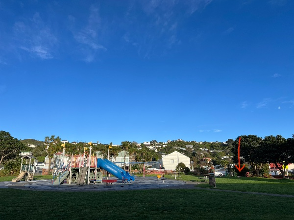Blog image