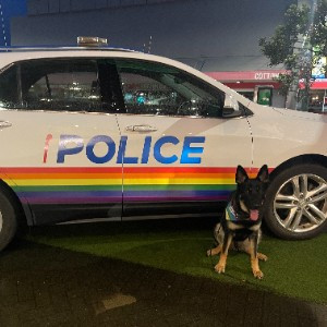 Palmerston North Police