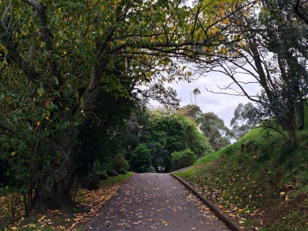 Blog image