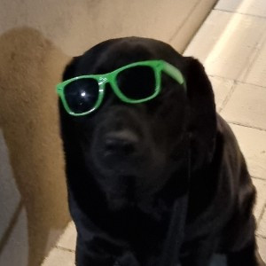 Profile pic