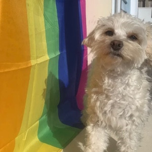 Tough Takatāpui 💪🏽